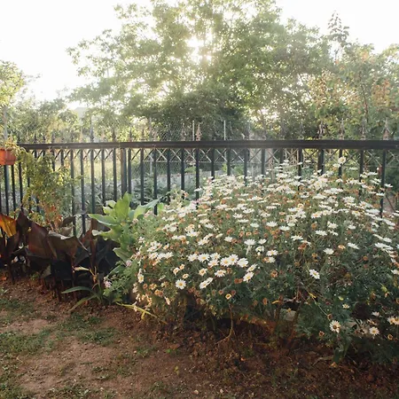 Appartement Tsirigotis Garden *